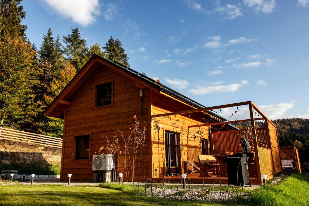 Villa Kocierska Chata Kocierz Rychwaldzki Exterior foto